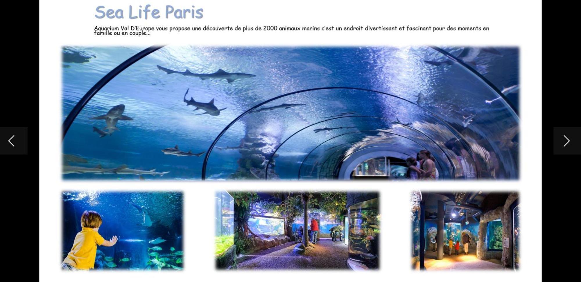 몽테브랭 Duplex A 5Min De Disneyland Paris 아파트 외부 사진